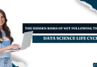 The Hidden Risks of Not Following the Data Science Life Cycle