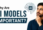Why Are AI Models Important?