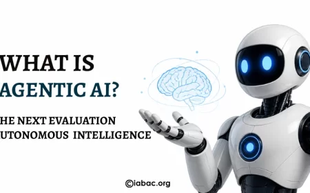 What is Agentic AI?