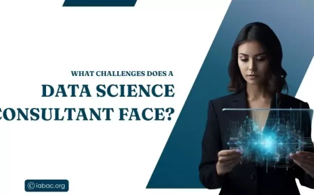 What Challenges Does a Data Science Consultant Face?