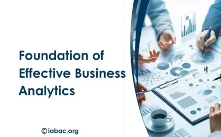 Data Quality: The Foundation of Effective Business Analytics