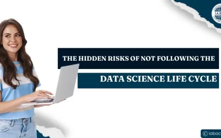 The Hidden Risks of Not Following the Data Science Life Cycle
