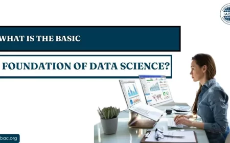 What Is the Basic Foundation of Data Science?