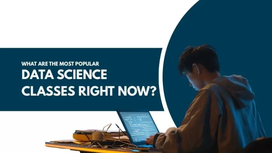 What Are the Most Popular Data Science Classes Right Now?