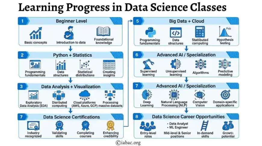 Learning Progress in Data Science Classes