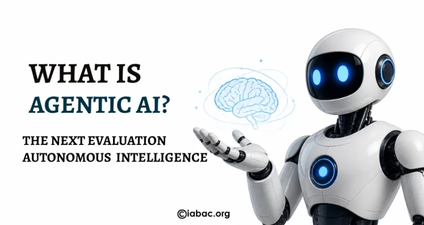 What is Agentic AI?