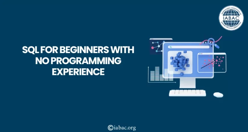 SQL For Beginners with no Programming experience