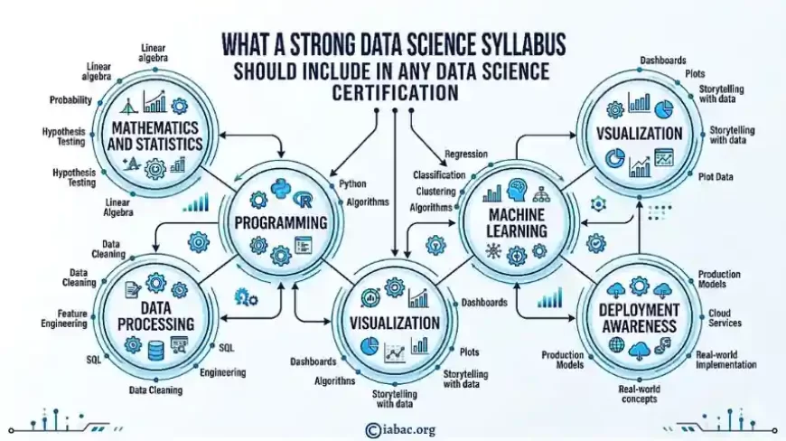 What a Strong Data Science Syllabus Should Include in Any Data Science Certification
