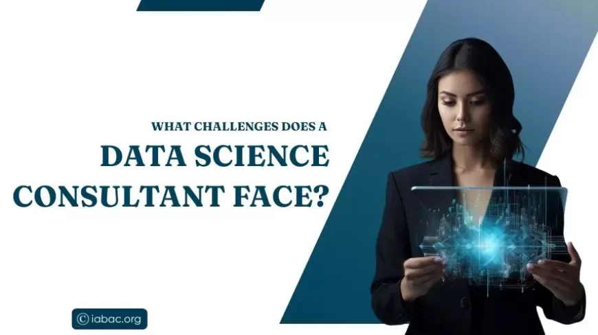 What Challenges Does a Data Science Consultant Face?