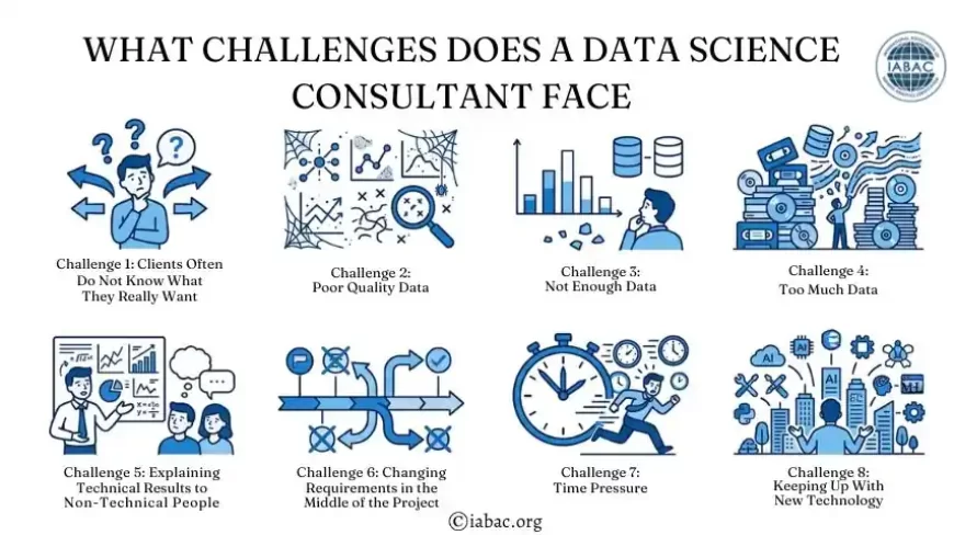 What Challenges Does a Data Science Consultant Face