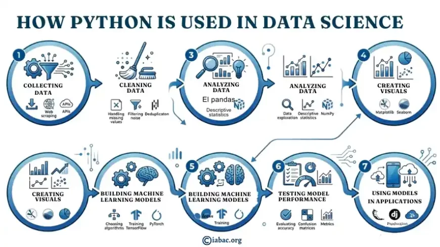 How Python Is Used in Data Science
