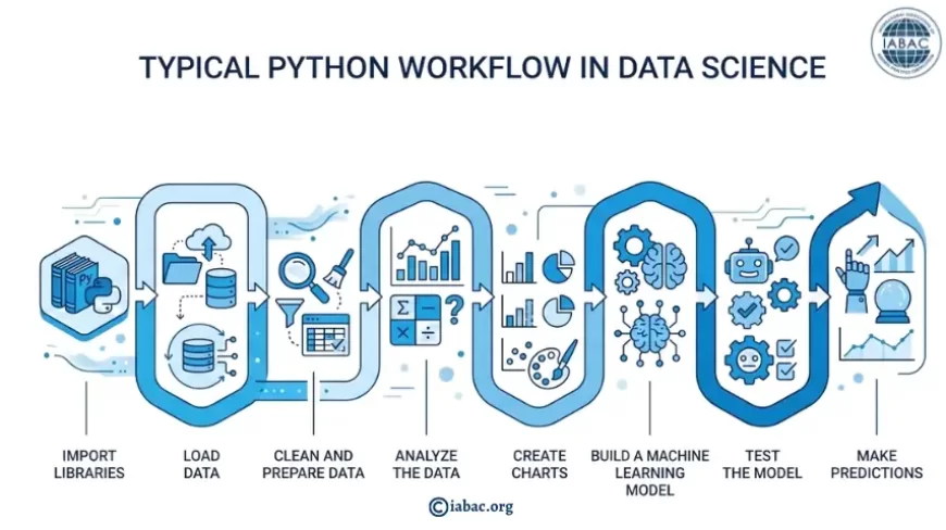 Typical Python Workflow in Data Science