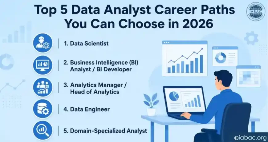 Top 5 Data Analyst Career Paths You Can Choose in 2026