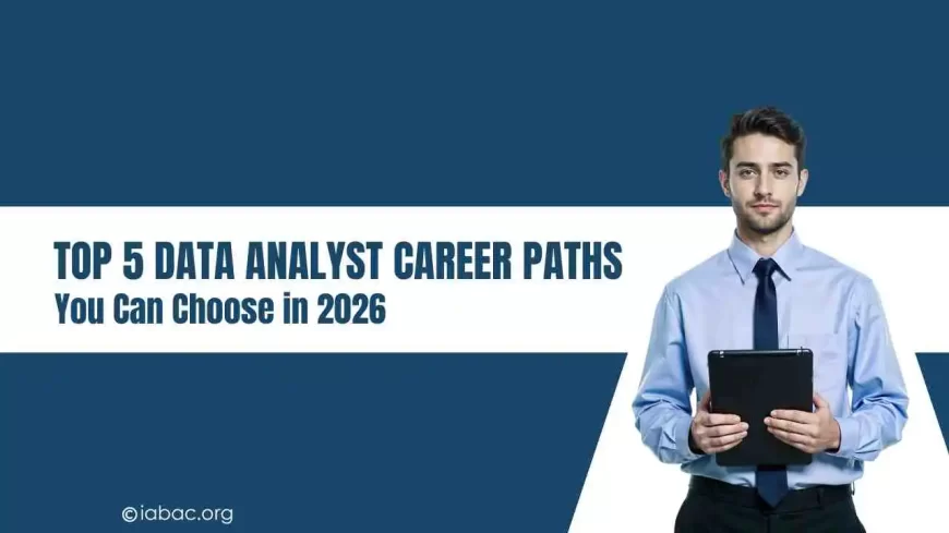 Top 5 Data Analyst Career Paths You Can Choose in 2026