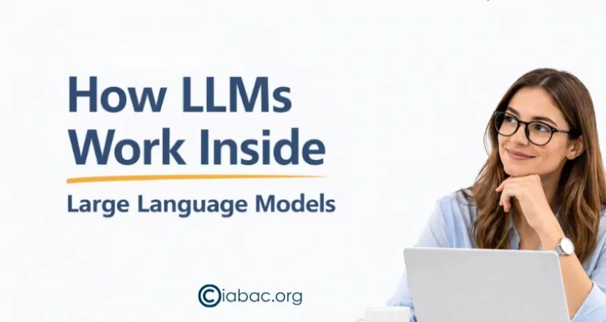 LLM Explained: What Are Large Language Models & How Do They Work?