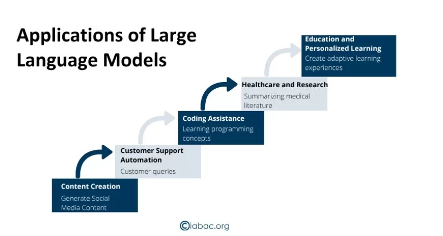 application of large language models 