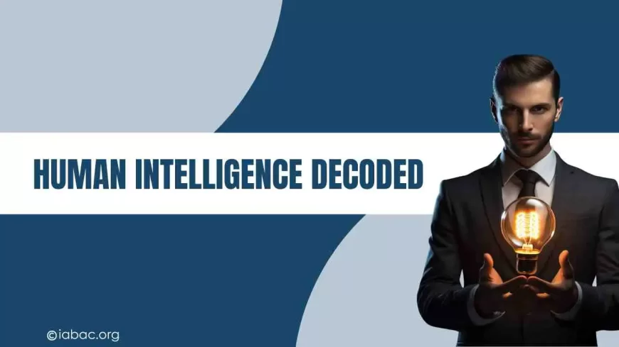What is Human Intelligence and How Does It Work? 
