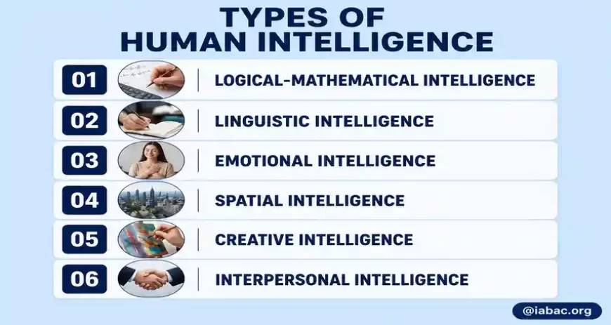 Types of Human Intelligence