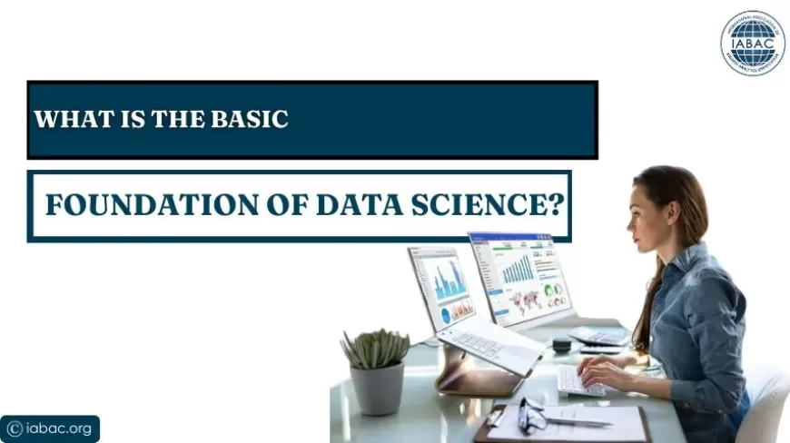 What Is the Basic Foundation of Data Science?