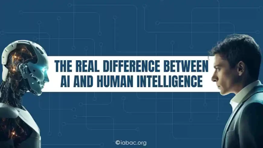 5 Key Differences Between AI and Human Intelligence