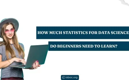 How Much Statistics for Data Science Do Beginners Need to Learn? 