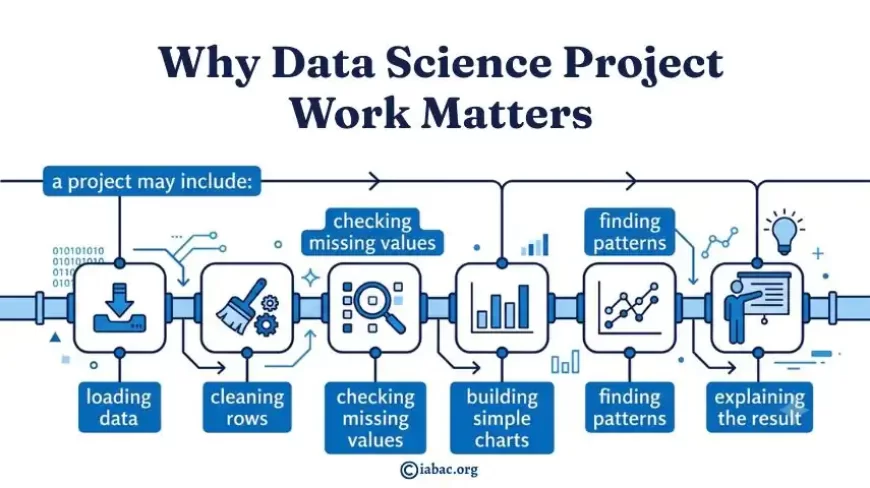 Why Data Science Project Work Matters
