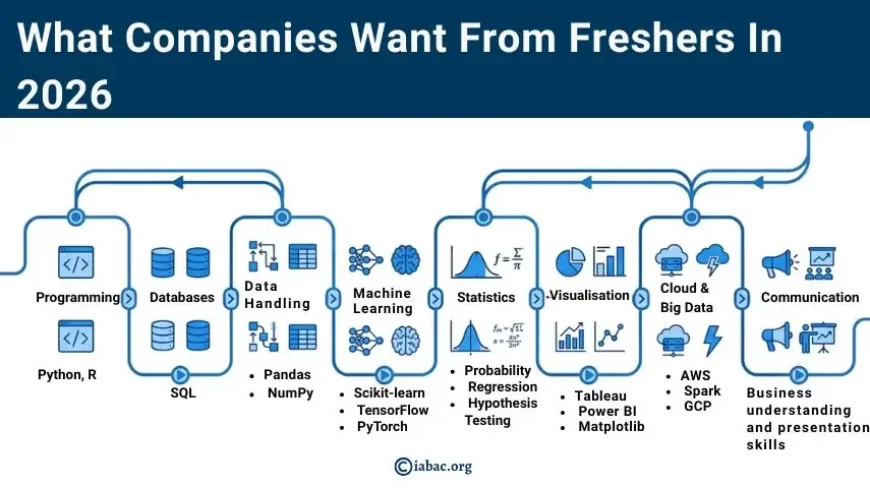 What Companies Want From Freshers in 2026
