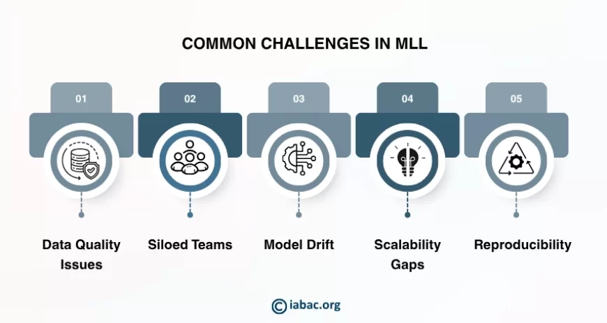 Common Challenges in MLL