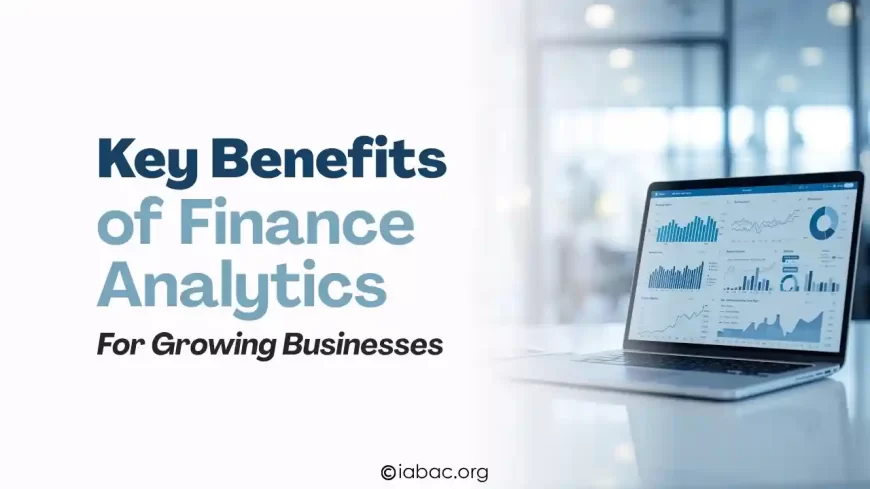 What Are the Key Benefits of Finance Analytics for Growing Businesses?
