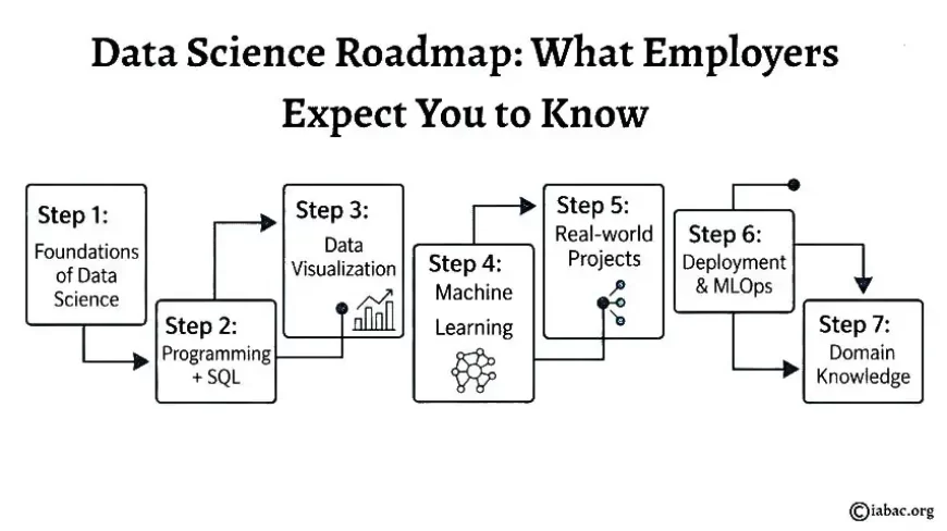 Data Science Roadmap: What Employers Expect You to Know