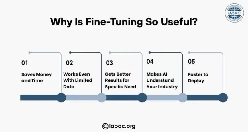 Why Is Fine-Tuning So Useful