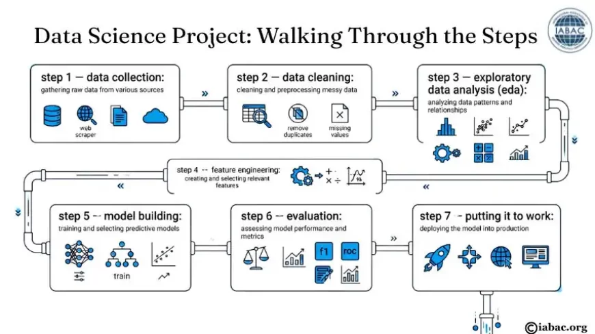 Data Science Project: Walking Through the Steps