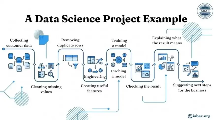 A Data Science Project Example