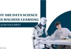 Why Are Data Science and Machine Learning Skills So Valuable?