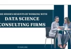 The Hidden Benefits of Working With Data Science Consulting Firms