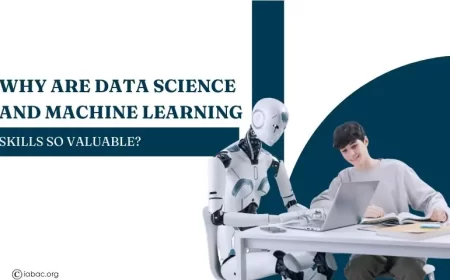 Why Are Data Science and Machine Learning Skills So Valuable?