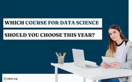 Which course for data science Should You Choose This Year?