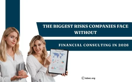 The Biggest Risks Companies Face Without Financial Consulting in 2026