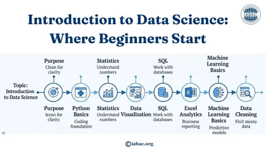 Introduction to Data Science: Where Beginners Start