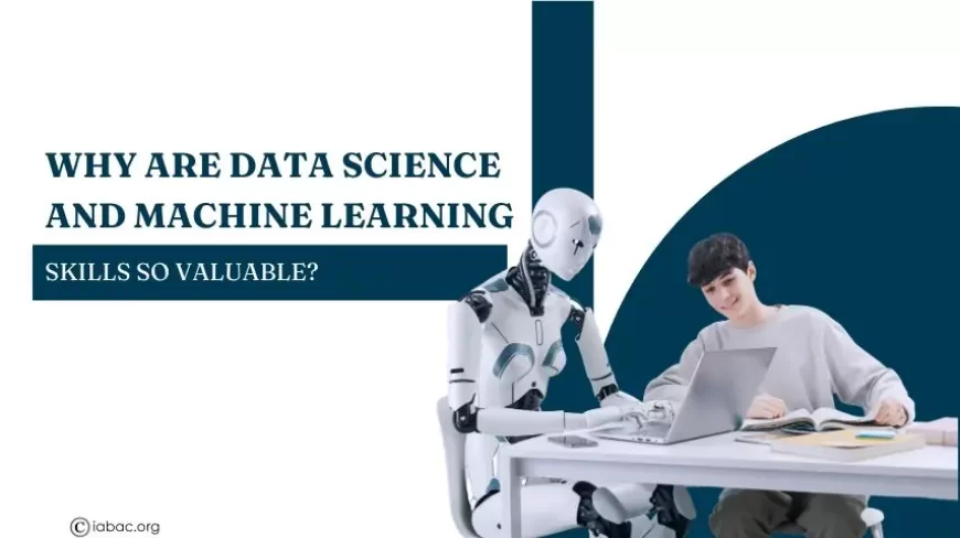 Why Are Data Science and Machine Learning Skills So Valuable?