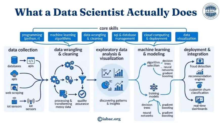What a Data Scientist Actually Does