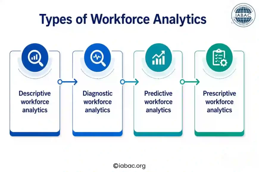 Types of Workforce Analytics