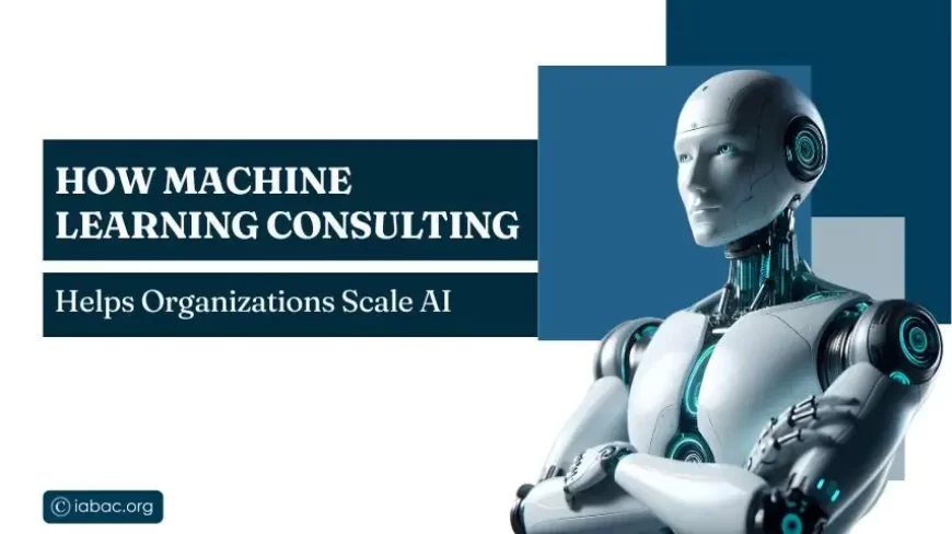 How Machine Learning Consulting Helps Organizations Scale AI