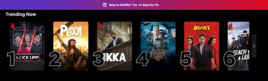 Netflix Home page