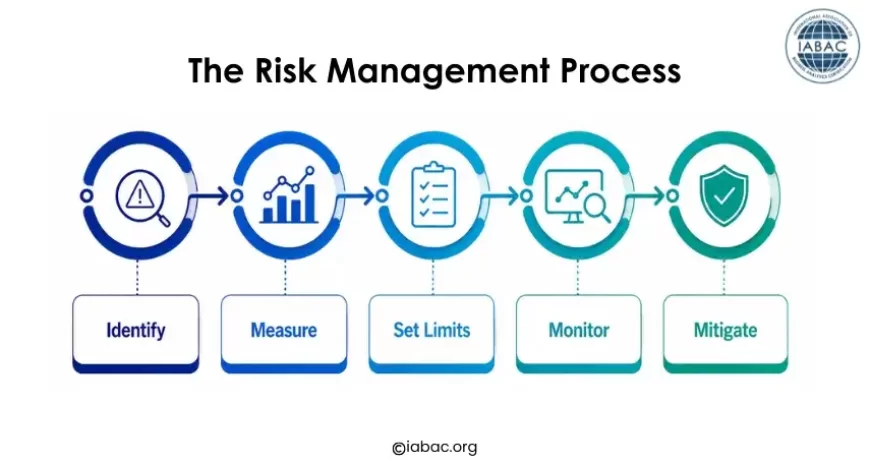 The Risk Management Process