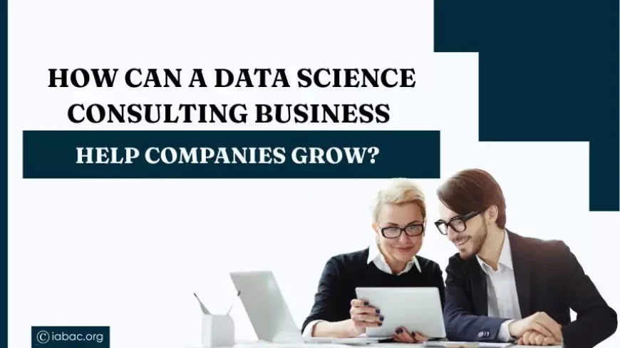 How Can a Data Science Consulting Business Help Companies Grow?