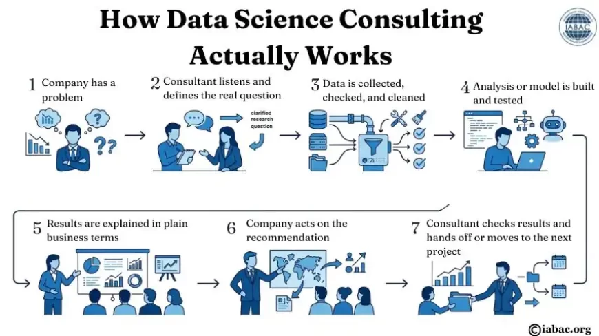 Data Science Consulting 