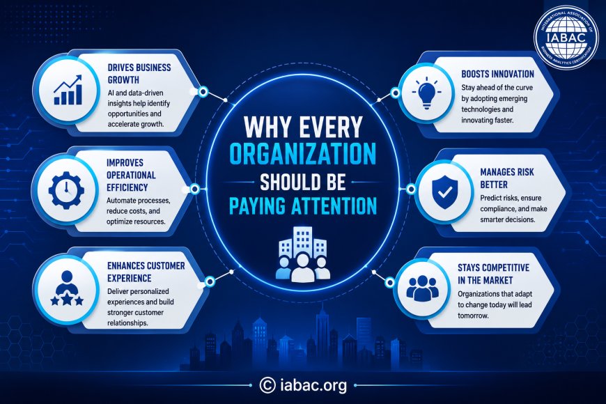 Why Every Organization Should Be Paying Attention