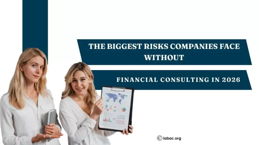 The Biggest Risks Companies Face Without Financial Consulting in 2026